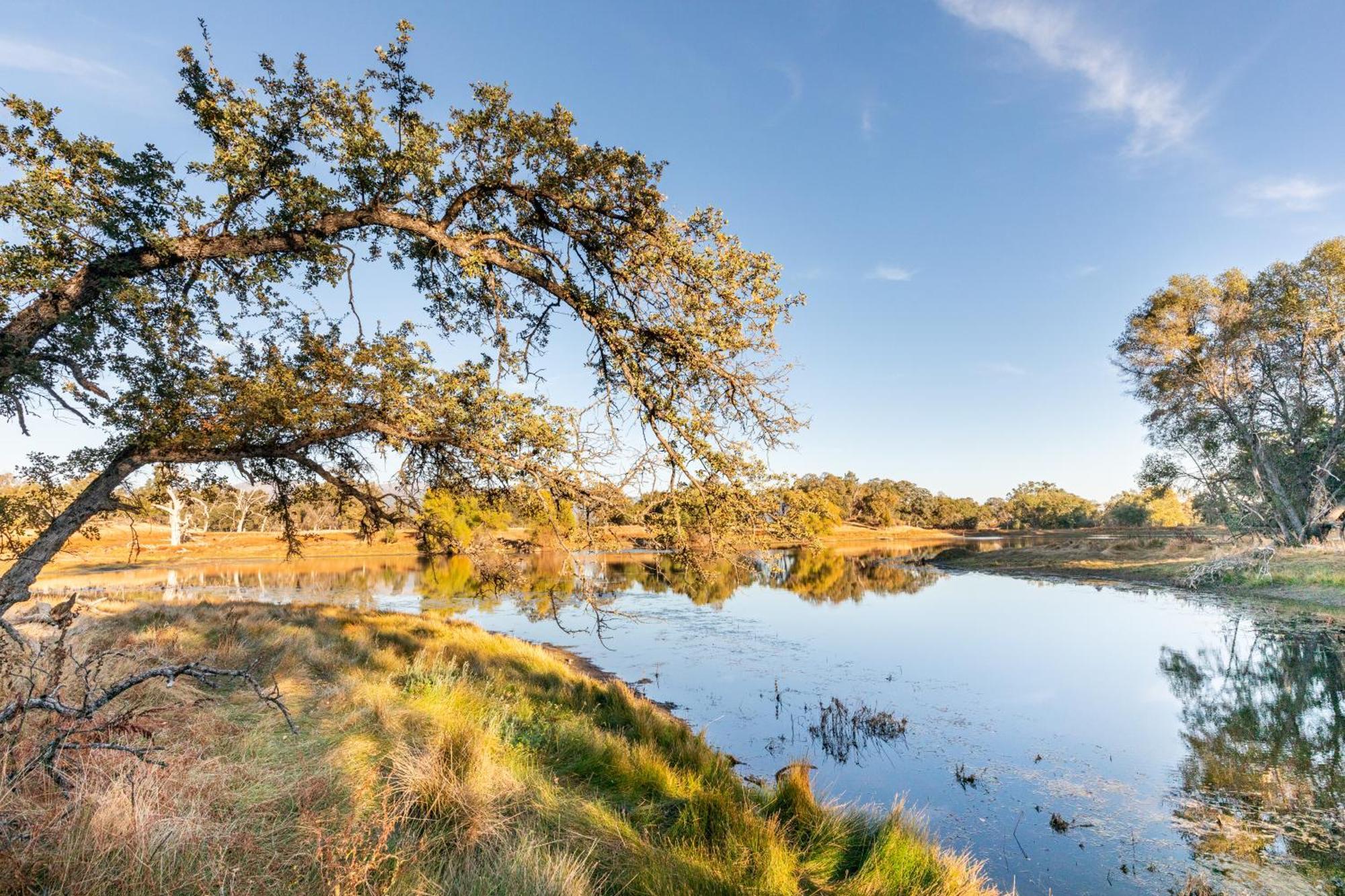 Rolling Oaks Ranch - 200 Acres Of Lakeside Beauty & Countryside Serenity Mariposa Zewnętrze zdjęcie