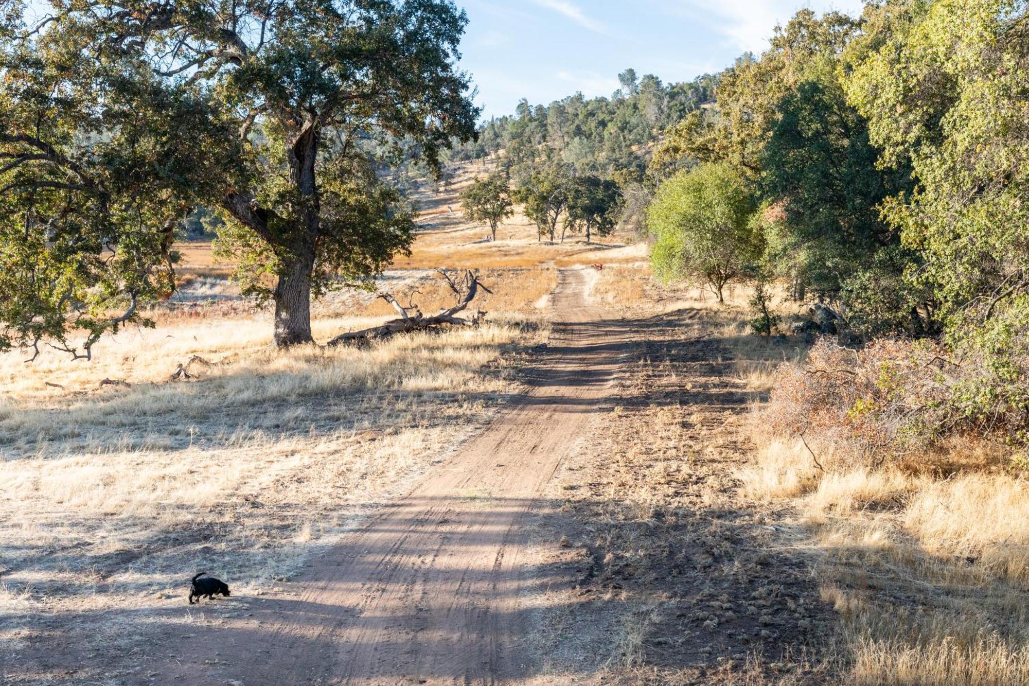 Rolling Oaks Ranch - 200 Acres Of Lakeside Beauty & Countryside Serenity Mariposa Zewnętrze zdjęcie