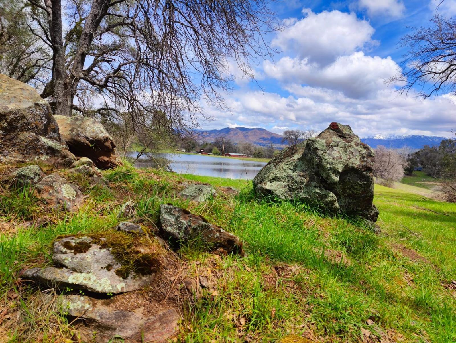 Rolling Oaks Ranch - 200 Acres Of Lakeside Beauty & Countryside Serenity Mariposa Zewnętrze zdjęcie