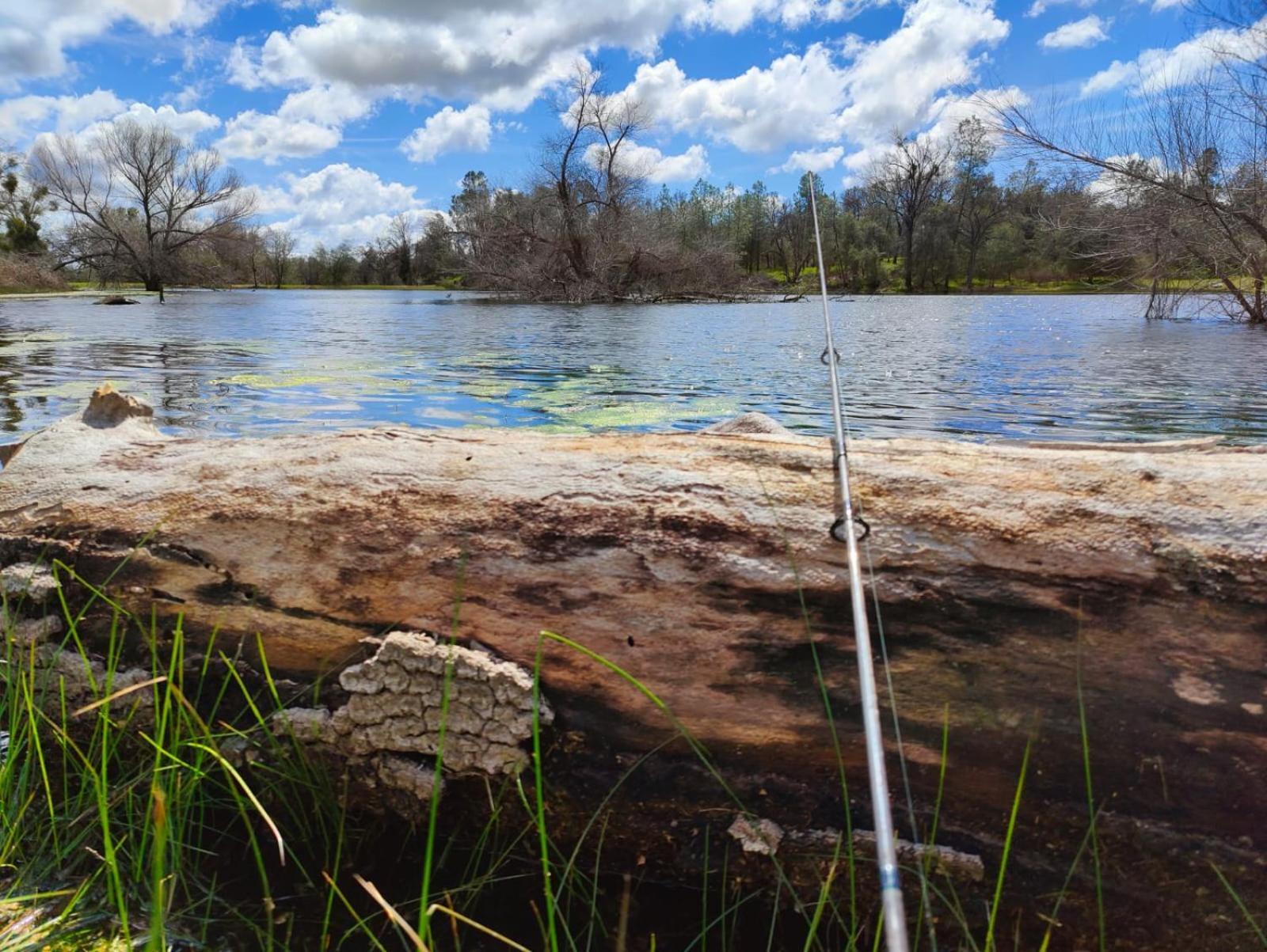 Rolling Oaks Ranch - 200 Acres Of Lakeside Beauty & Countryside Serenity Mariposa Zewnętrze zdjęcie