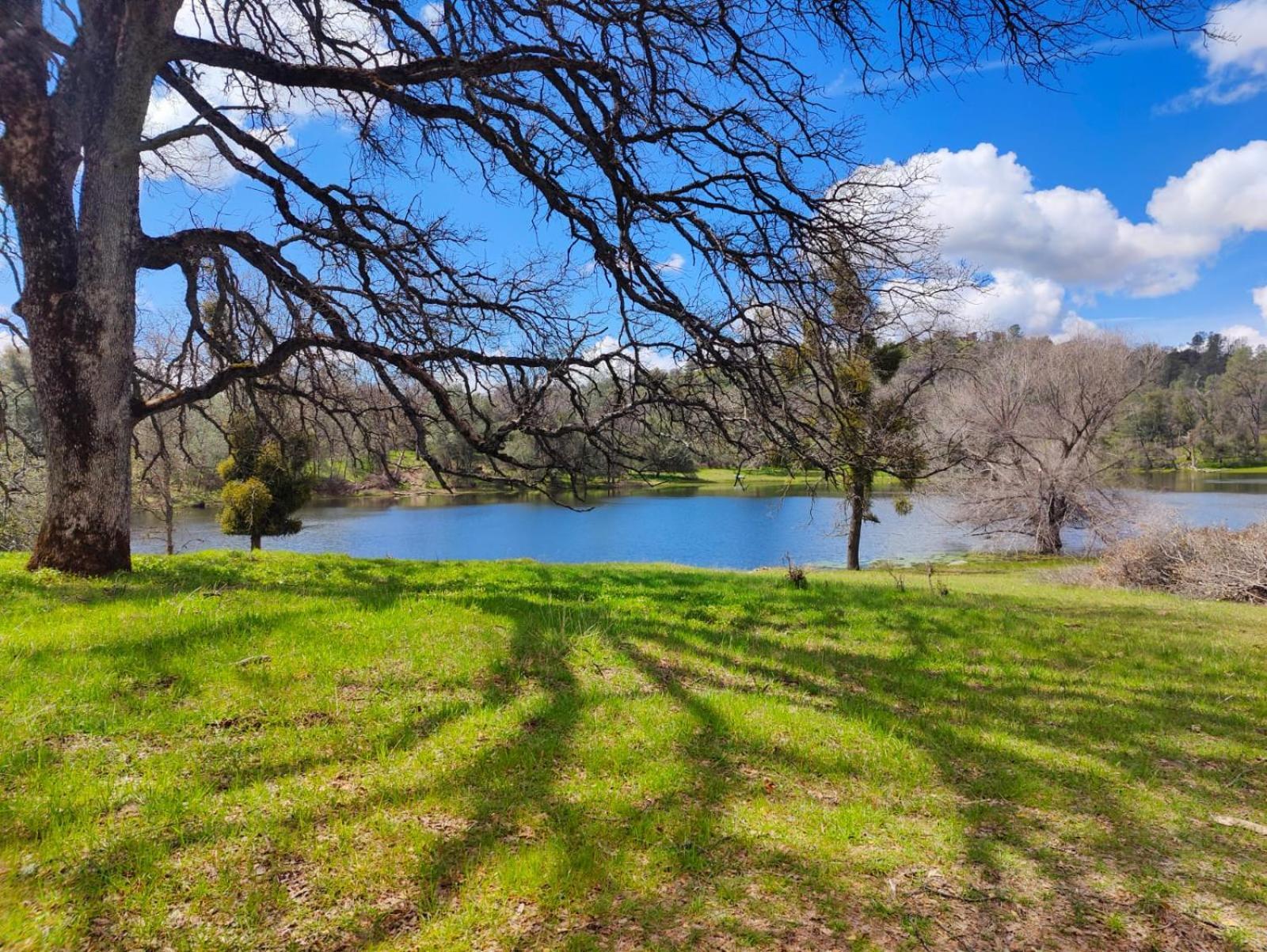 Rolling Oaks Ranch - 200 Acres Of Lakeside Beauty & Countryside Serenity Mariposa Zewnętrze zdjęcie